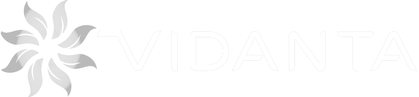 logo vidanta
