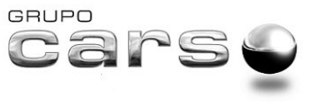 Logo Grupo carso
