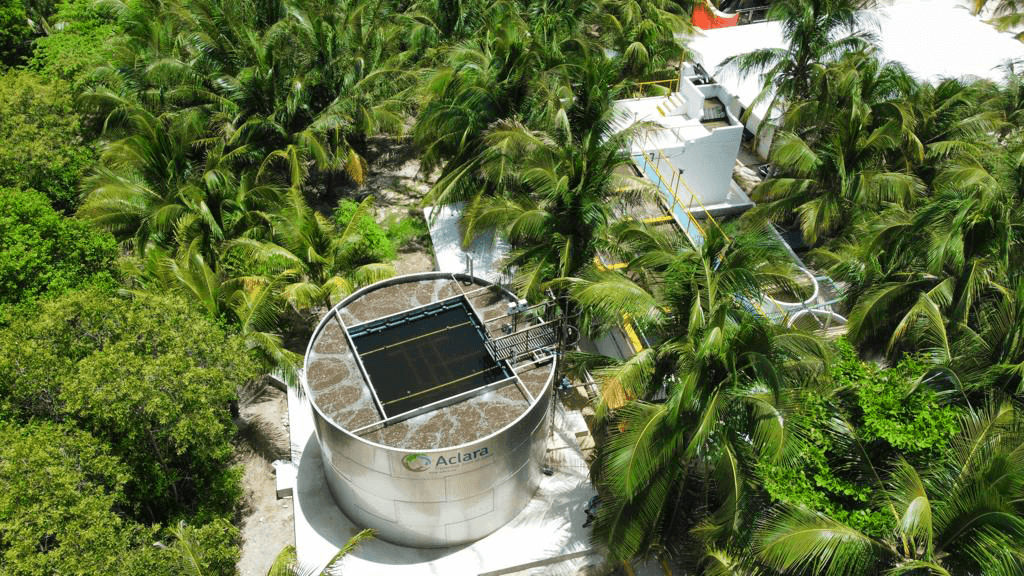 Planta Aclara en hotel